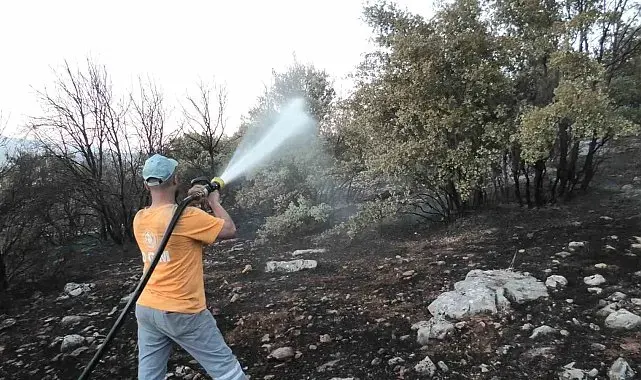 Orman yangını korkuttu
