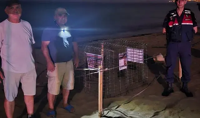 Kuşadası'nda caretta caretta heyecanı: İlk yuva koruma altına alındı
