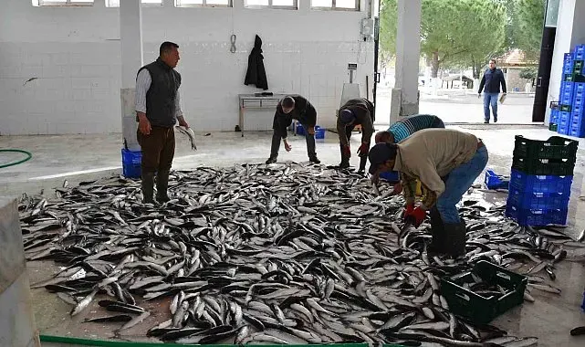 Muğla Mayıs ayında 71 milyon 870 bin TL dış ticaret fazlası verdi