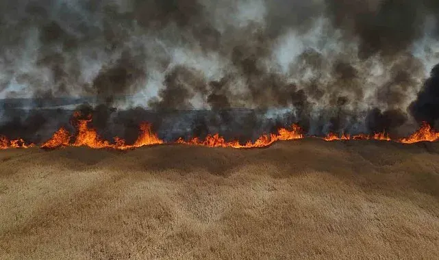 Edirne'de çiftçinin bir yıllık emeği küle döndü