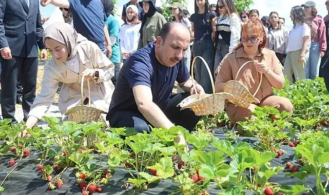 Başkan Altay, 2027 yılı tarımsal destek başvurularının 1 Temmuz'da başlayacağını duyurdu