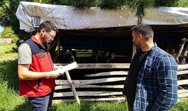Buzağı kayıplarının önlenmesi için eğitim çalışması sürüyor