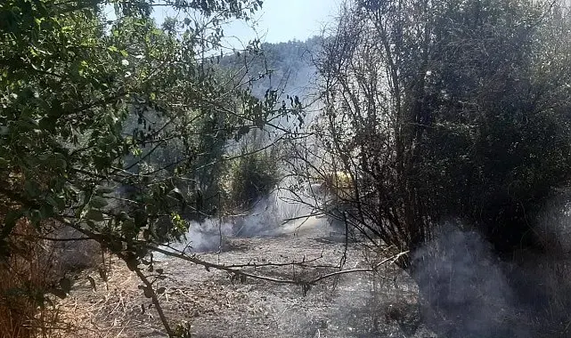 Bilecik'te otluk alanda yangın çıktı