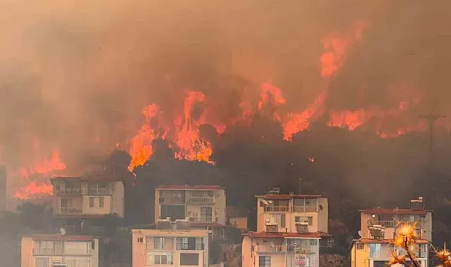 İzmir'de makilik alandaki yangın büyük ölçüde kontrol altına alındı