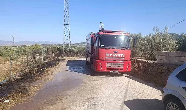 Gaziantep'te zeytinlik alanda yangın