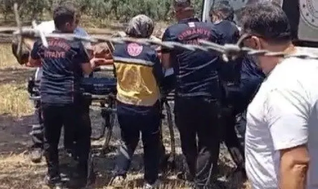 Osmaniye'de anız yangını meyve bahçelerine sıçradı: 1 kişi hastanelik oldu