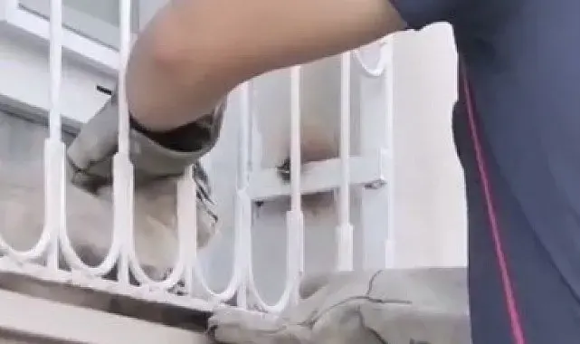 Patisi pencere demirine sıkışan kediyi itfaiye kurtardı