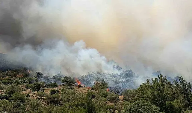 İzmir'de makilik alandaki yangına müdahale sürüyor