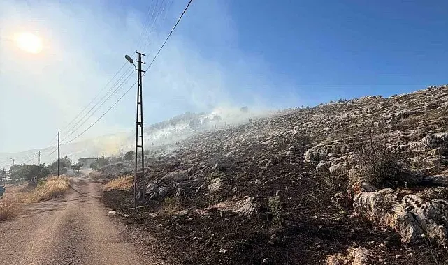 Köy yakınlarında çıkan yangın korkuttu