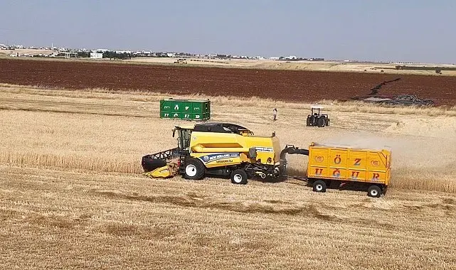 Başkan Hallaç: "Şimdi hasat zamanı''