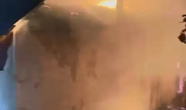 Bingöl'de arazi yangını eve sıçradı