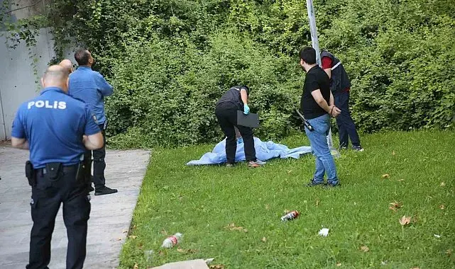 Panaromik asansörde manzara izlerken düşerek hayatını kaybetti