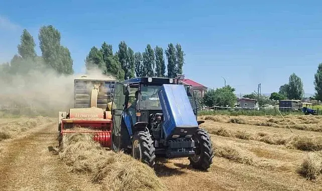 Hasköy'de çiftçilerin kışlık yem mesaisi sürüyor
