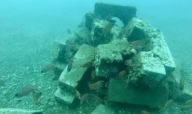 Denize düşen beton ağırlıklardan yapay resif oluşturdular