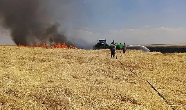 Diyarbakır'da yüzlerce dönüm arazi alevlere teslim oldu
