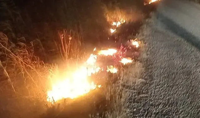Ayvalık'ta otluk alan yangını büyümeden söndürüldü