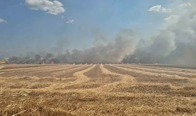 Tekirdağ'da 2 farklı noktada çıkan yangın söndürüldü: 700 dönümlük alan ve 20 konteyner kül oldu