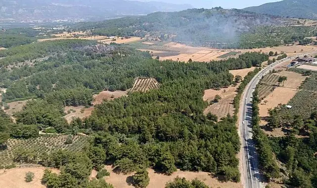 Seydikemer'deki orman yangını kontrol altına alındı