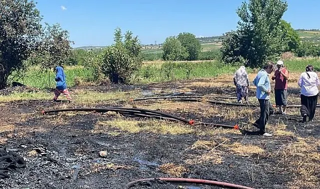 Anız alevi 20 dönümü küle çevirdi