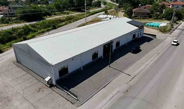 Bolu'daki düğünde laf atma kavgası: Tartışma çıkınca damat bayıldı