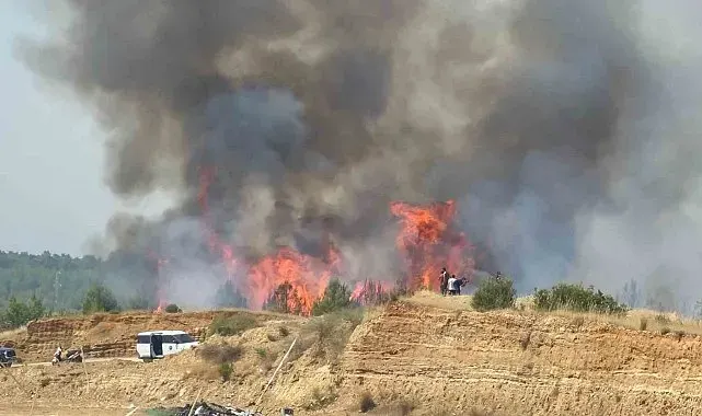 Aksu'daki orman yangını kontrol altına alındı, 10 hektar alan zarar gördü