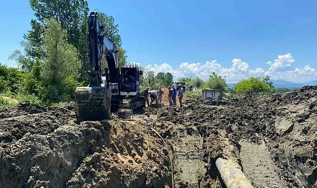 Sinop'ta çeltiği susuz bırakan altyapı krizi