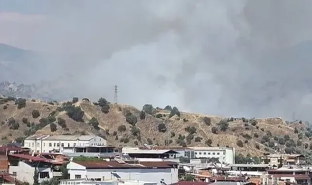 Nazilli'de zirai alan yangını