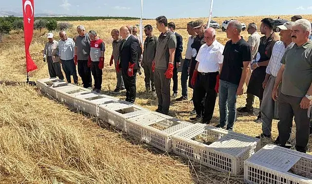 Adıyaman doğasına bin adet keklik salındı