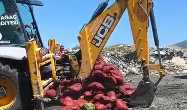 Manisa'da menşei belirsiz midyeler imha edildi