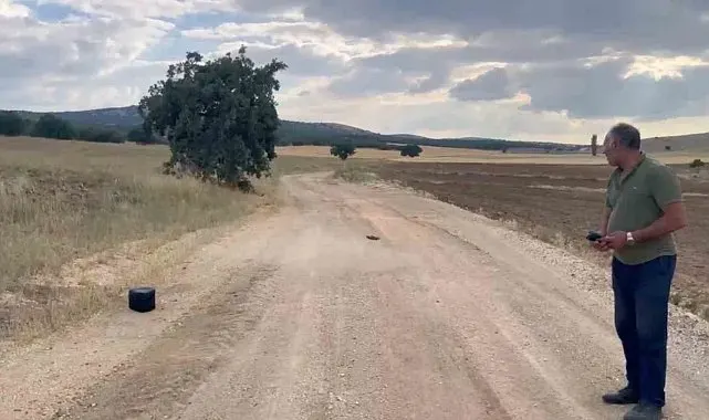 Eskişehir'de kaybolan gebe inek dron ile aranıyor
