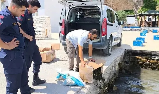 Söke'de kaçak su ürünleri nakline geçit verilmedi