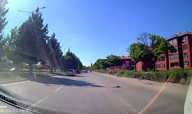 Kara yolunda mahsur kalan kaplumbağasına yardım eli