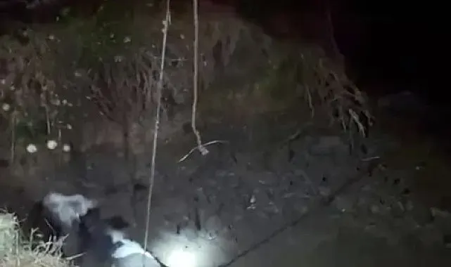 Çukura düşen ineği itfaiye kurtardı