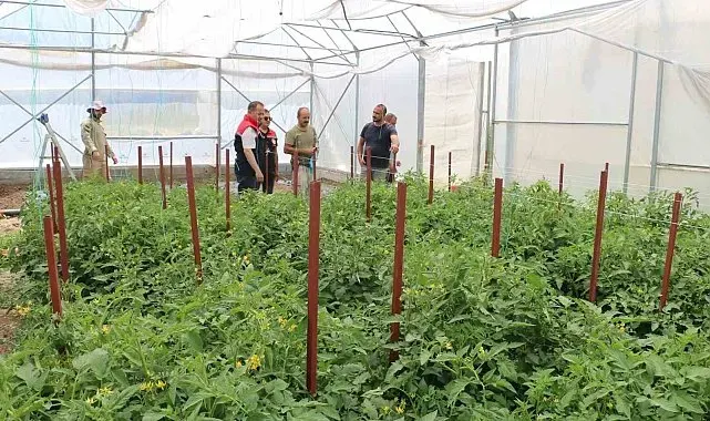 Erzincan'da seracılık yatırımları üretimi artırıyor
