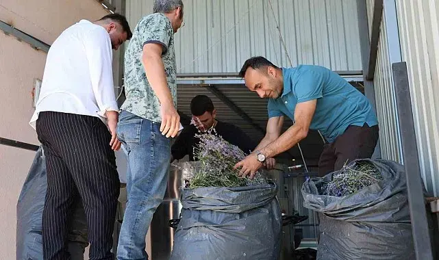 Lavanta üreten kadın kooperatifine katma değer desteği