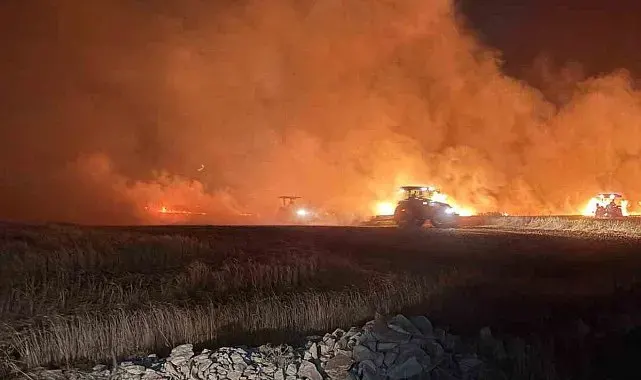 Mazıdağı'nda dün gece çıkan yangında ekili araziler zarar gördü