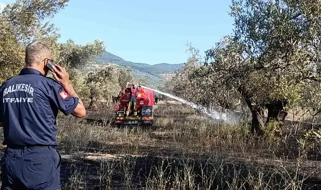 Balıkesir Ziraat Odası Başkanı Demirbay: "Bir yıllık emek bir sigara izmaritiyle kül olmasın"