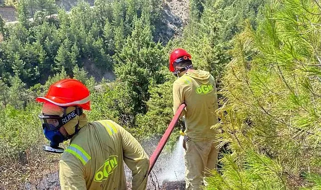 Feke'deki orman yangını kontrol altına alındı