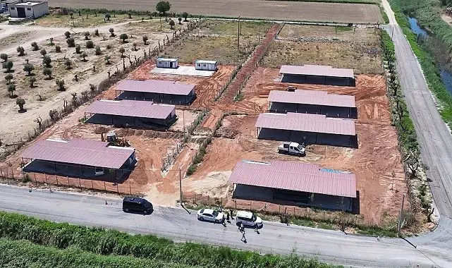 Efeler Belediyesi'nden sokak hayvanları için yeni yaşam alanı