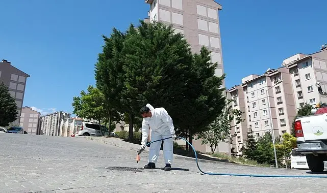 Osmangazi Belediyesi'nden haşerelere karşı etkin mücadele
