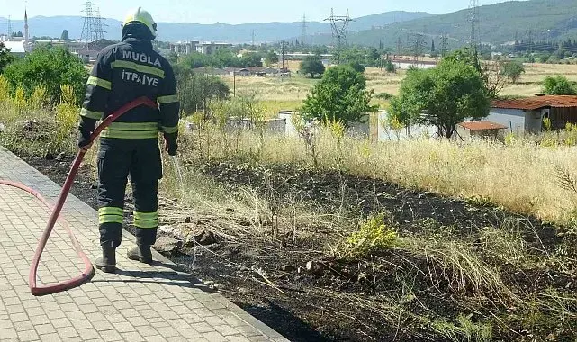 Menteşe'de yol kenarına atılan sigara izmariti yangın çıkardı