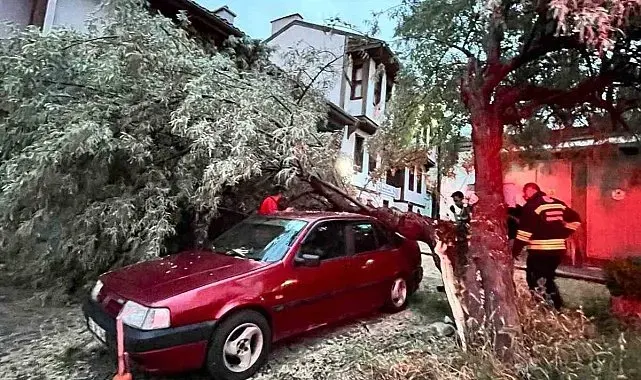 Araç üzerine düşen ağaç itfaiye ekiplerinin titiz çalışmasıyla kaldırıldı