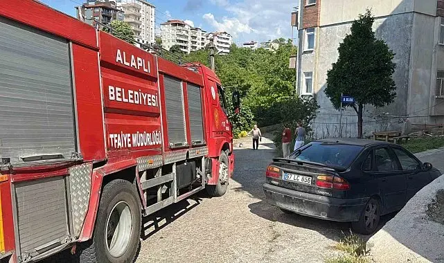 Alaplı'da alev topuna dönen piknik tüpü korkuttu