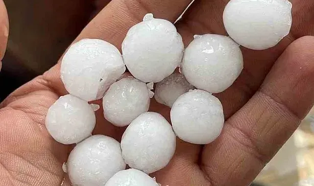 Dolu yağışı ekili alanlara zarar verdi