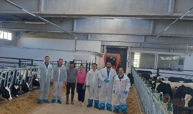 Hisarcık'ta ilk hastalıktan ari büyükbaş işletmesi için önemli adım