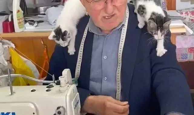 Sokak kedilerinin dedesi yıllardır kimsesiz kedilere sıcak yuva oluyor