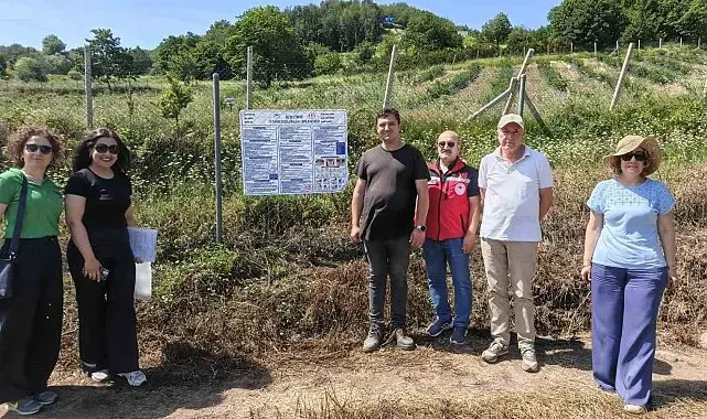 Yalova'da yaban mersininde iyi tarım uygulamaları denetleniyor