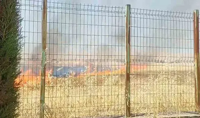 Anız yangını okula sıçramadan söndürüldü