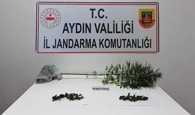 Söke'de narkotik köpeği destekli operasyonda uyuşturucu madde ele geçirildi