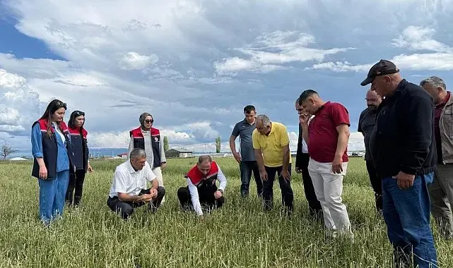 Dolu vurdu, ekipler sahaya indi: Kars'ta hasar tespit çalışmaları sürüyor